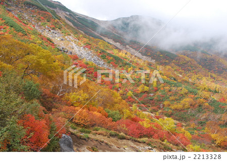 絶景紅葉　錦秋の乗鞍位ヶ原 2213328