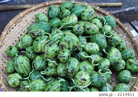 スイカ　バンコク　タイ王国　 2214911