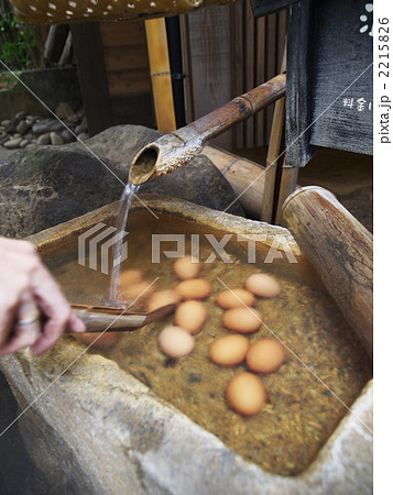 温泉卵 2215826