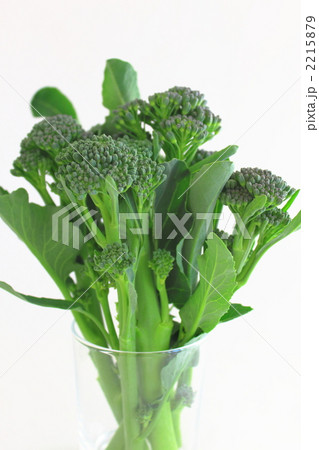 スティックセニョール スティックセニョール 2215879