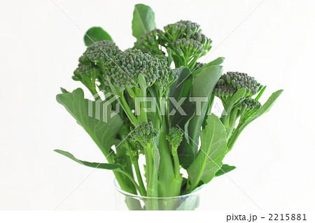 スティックセニョール スティックセニョール 2215881