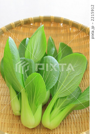 ミニチンゲン菜 2215912