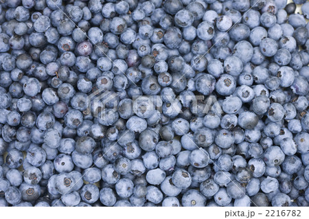 収穫したブルーベリー 収穫したブルーベリー 2216782