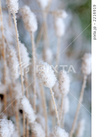 雪化粧 2216919