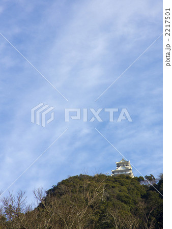 岐阜城 2217501