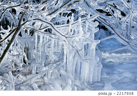 小枝のつららの写真素材