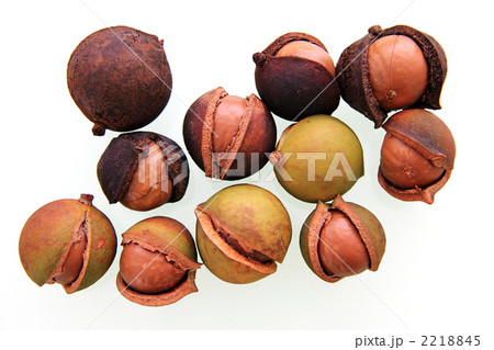 マカデミアナッツ 2218845