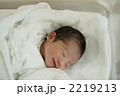 うまれたて 2219213