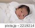 生まれたて 2219214