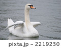 2219230