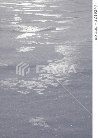 雪原(d050213_005) 2219247