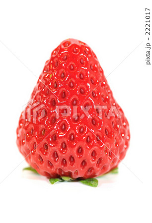 静岡県産の赤いイチゴ「紅ほっぺ」 2221017