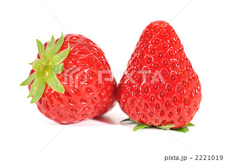 静岡県産の赤いイチゴ「紅ほっぺ」 2221019