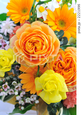 Spring Arrengement 2221996