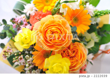 Spring Arrengement Spring Arrengement 2222039
