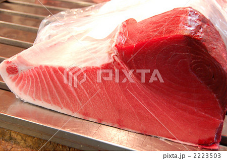 本マグロのブロック 本マグロのブロック 2223503