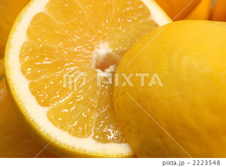 グレープフルーツ 2223548