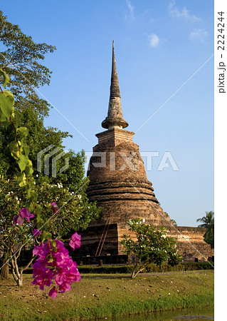 スコータイ遺跡公園のワット・スラ・シー 2224244