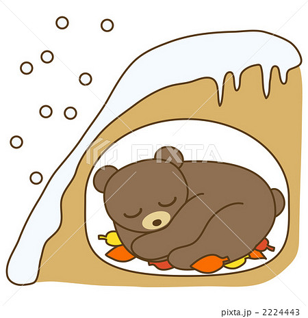冬眠するクマのイラスト素材