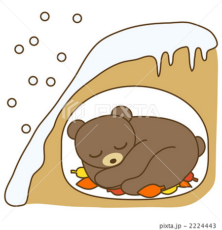 冬眠するクマのイラスト素材 [2224443] - PIXTA