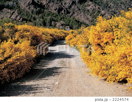 バリローチェ近辺にて バリローチェ近辺にて 2224574