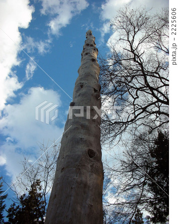 まっすぐに 2225606