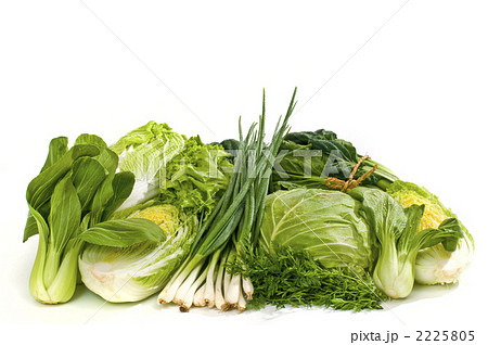 葉物 葉野菜 冬野菜の写真素材