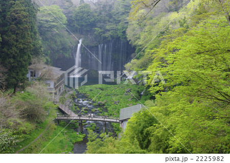 白糸の滝 白糸の滝 2225982