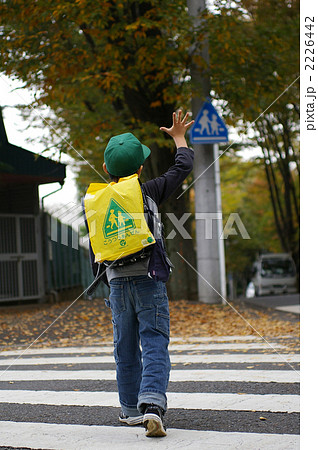 横断歩道を渡る児童の写真素材