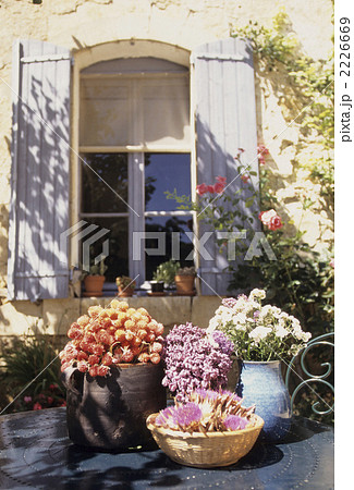 窓辺の花 2226669