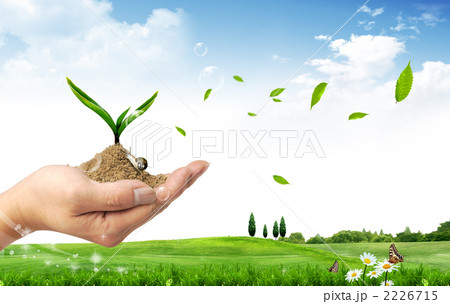 若芽手_k_749379 若芽手_k_749379 2226715