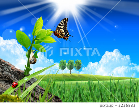 若芽野原_k_277661 2226833