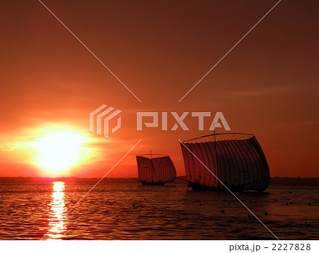 霞ヶ浦の帆引き船　 2227828