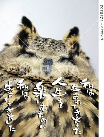 人生を楽しむために 2228302