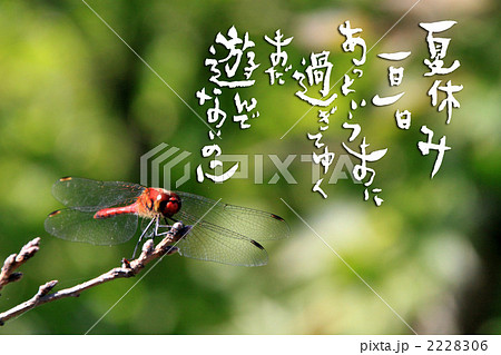 夏休み 2228306
