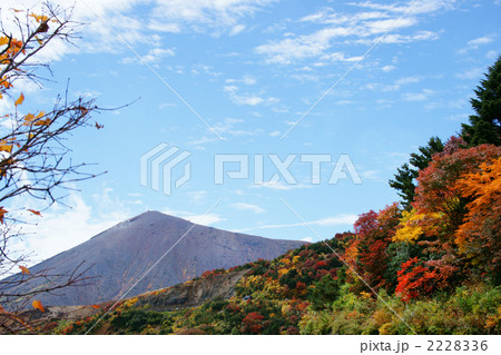 秋の空と紅葉　吾妻子富士 2228336