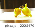 フォックスフェイス 2228470