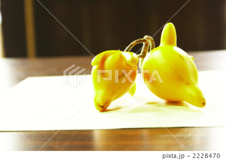 フォックスフェイス フォックスフェイス 2228470