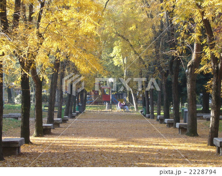 イタリア世界遺産の町（モデナ） 2228794