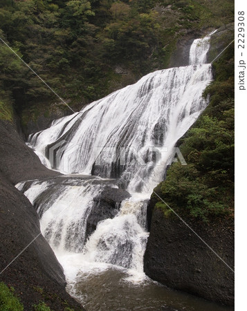 袋田の滝 袋田の滝 2229308