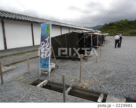 恐山　イタコ 2229981