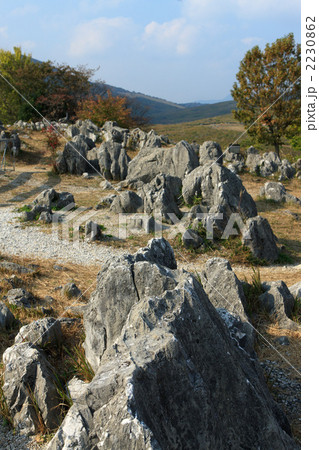 秋の秋吉台 2230862