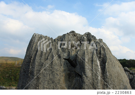 秋の秋吉台 2230863