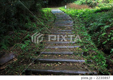 石見銀山 銀の道 石見銀山 銀の道 2230897