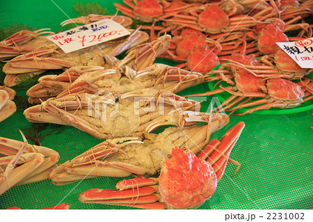 鳥取の松葉かに 2231002