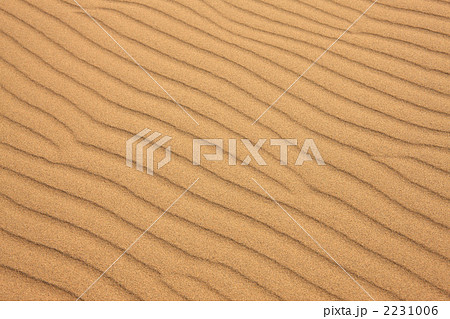 砂丘の風紋 2231006
