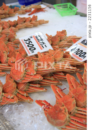 鳥取の松葉かに 2231156