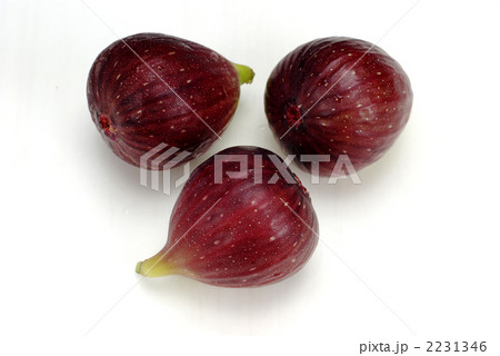 イチジク（d100823-001） 2231346