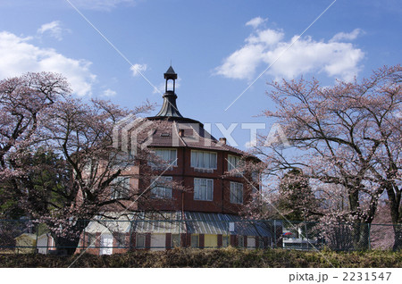 旧清春小学校の桜 2231547