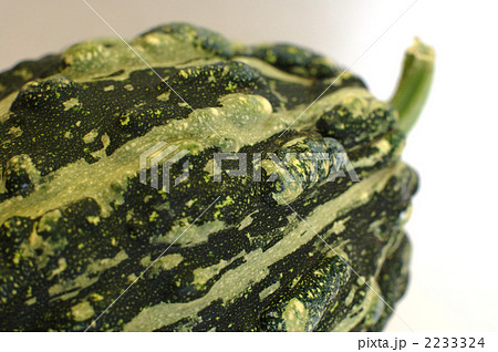 かざりかぼちゃ かざりかぼちゃ 2233324